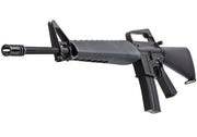 M16A1 AEG