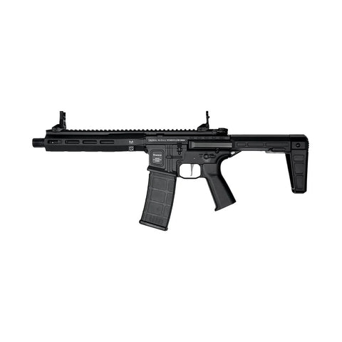 THESEUS PDW