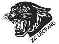 ZCI LTD